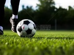 郑爽谈退出,再回归,追光吧哥哥,欧博,欧博官网,abg欧博官网,欧博官网玩家首选